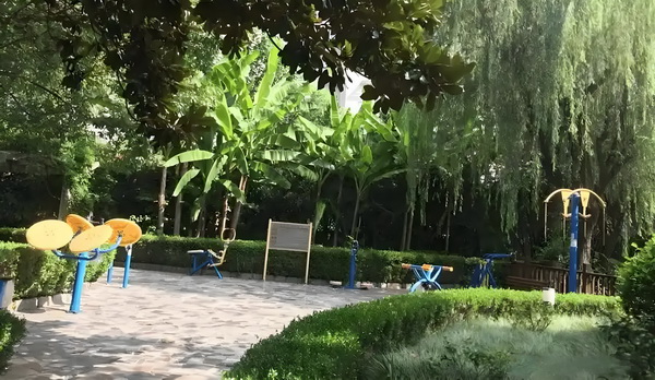 毒宠：魔瞳财女